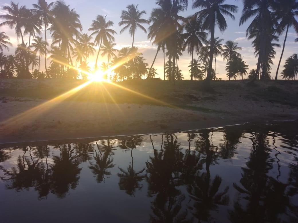Kit Nets D+ Baixio (Bahia)